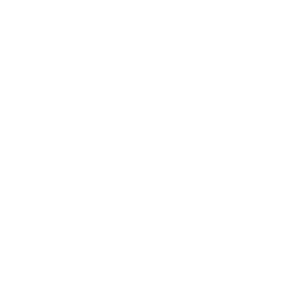 A0 Labs Bunny